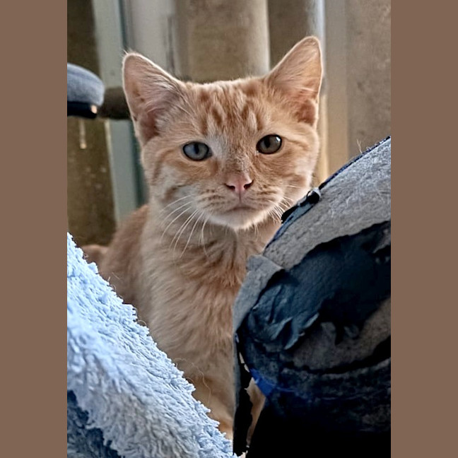 Photo of Sunnysideup