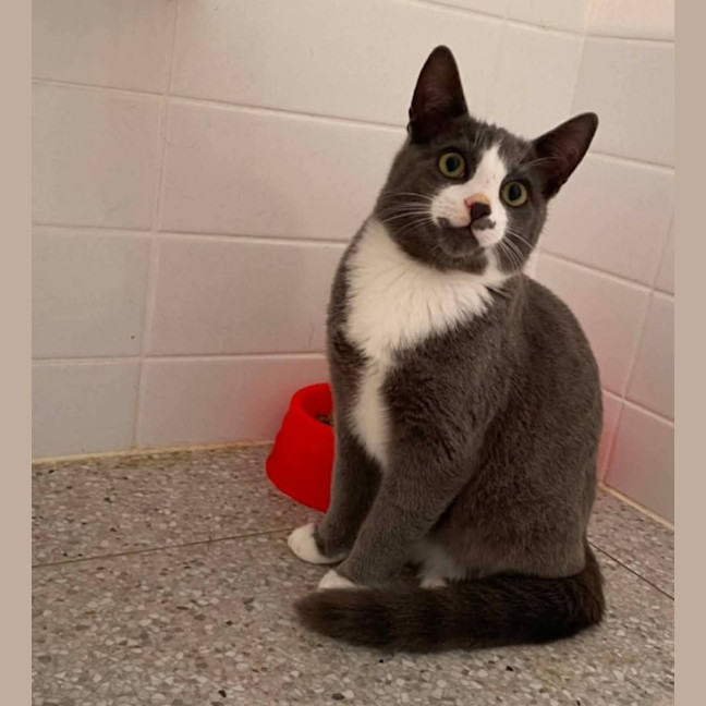 Photo of Jinx