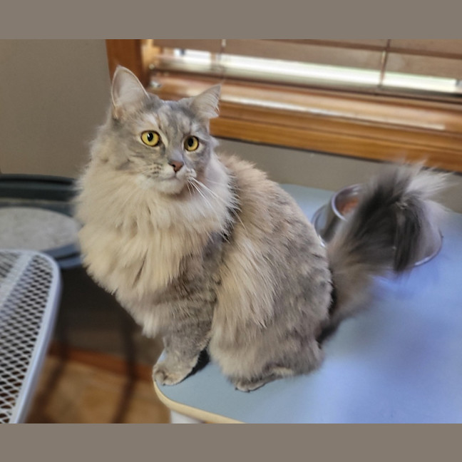 Photo of Misa / Randy