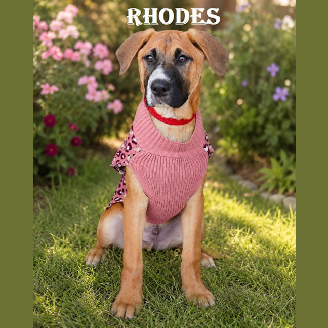 Photo of Rhodes
