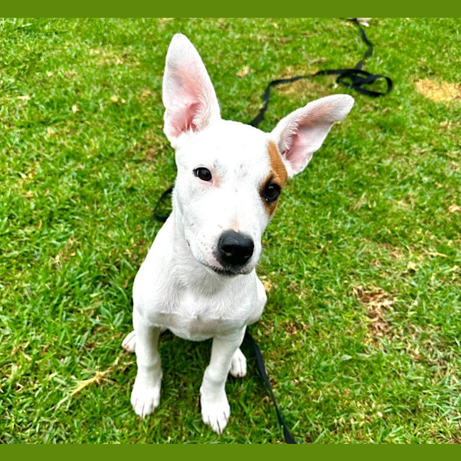 Photo of Molly