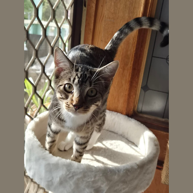 Photo of Skittles