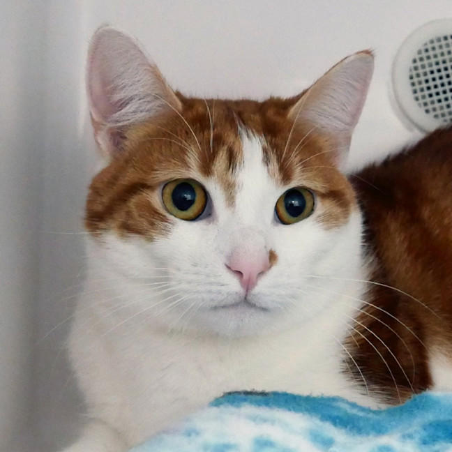 Photo of Sheldon Rsuk013808