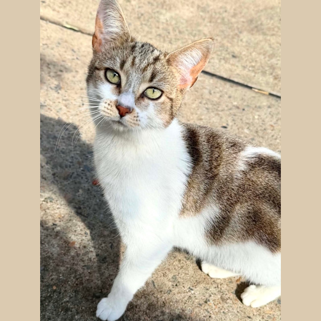 Photo of Josie