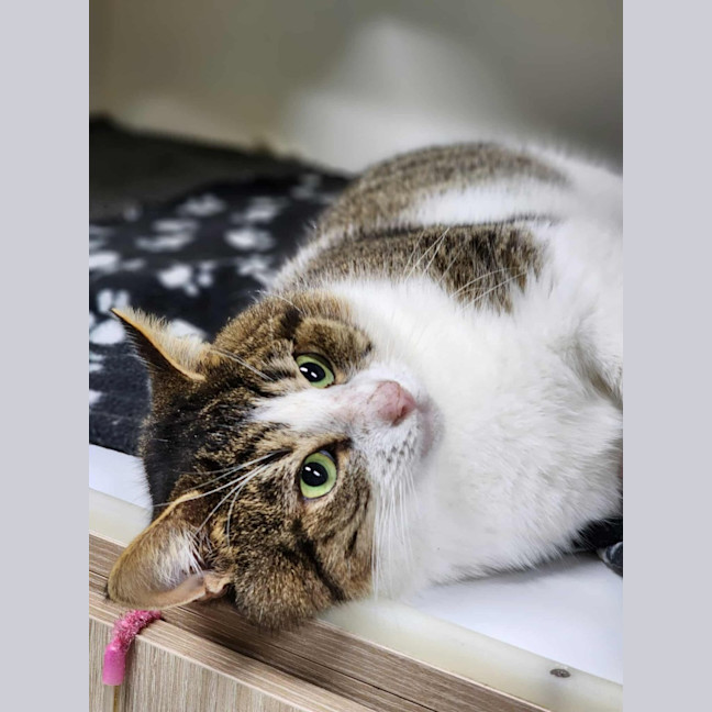 Photo of 🎣 Rafferty 6254 🎣