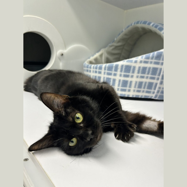 Photo of Sally