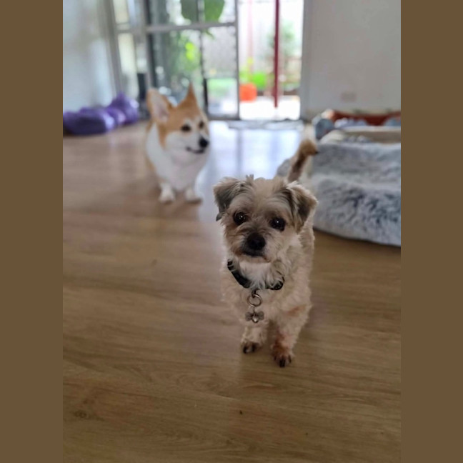 Photo of Darla