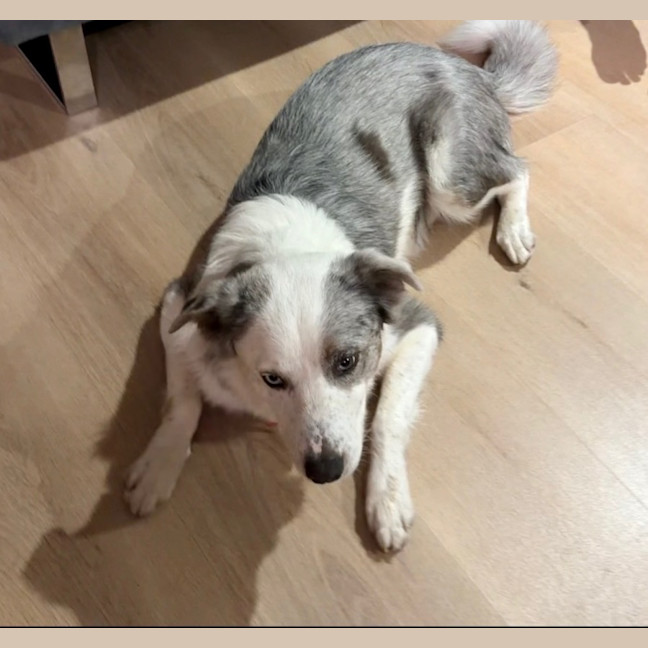 Photo of Zeus 