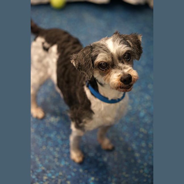 Photo of Missy