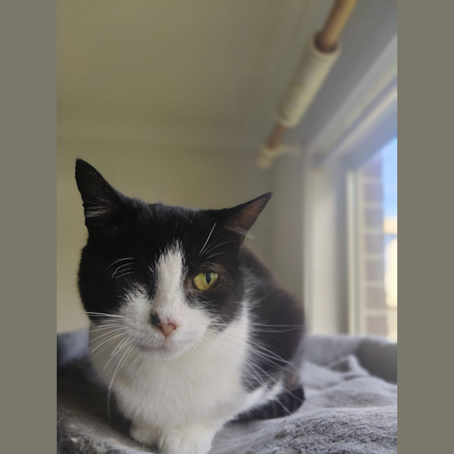 Photo of Lucky