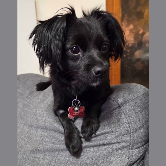 Photo of Roxy