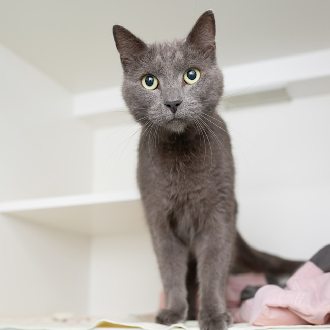 Photo of Smokie