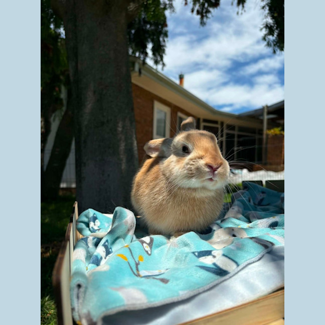 Photo of Jinny