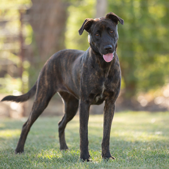 Photo of Hazel