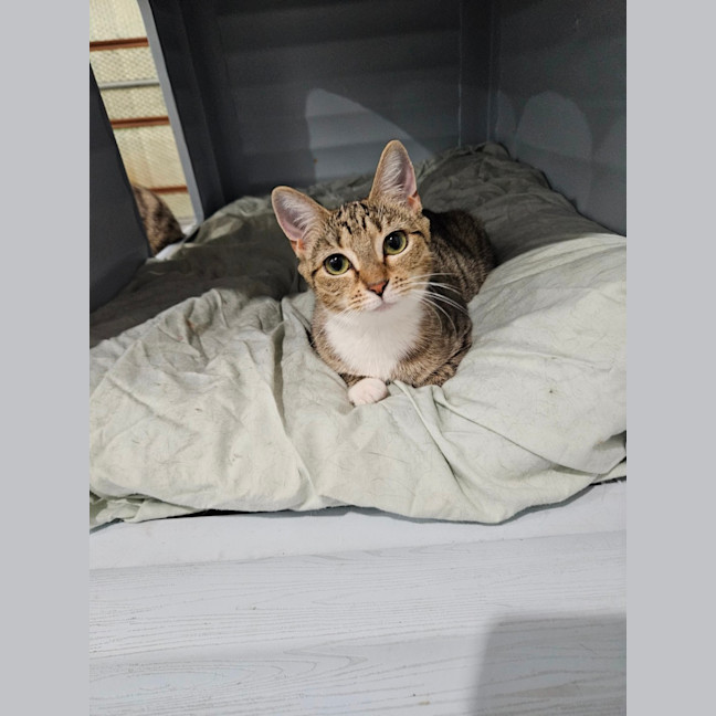 Photo of Leyla