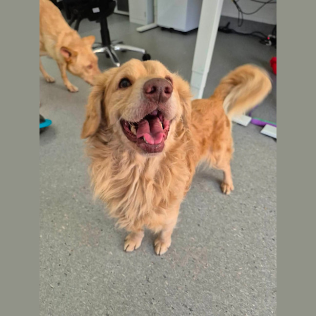 Photo of Fonzie! 💃