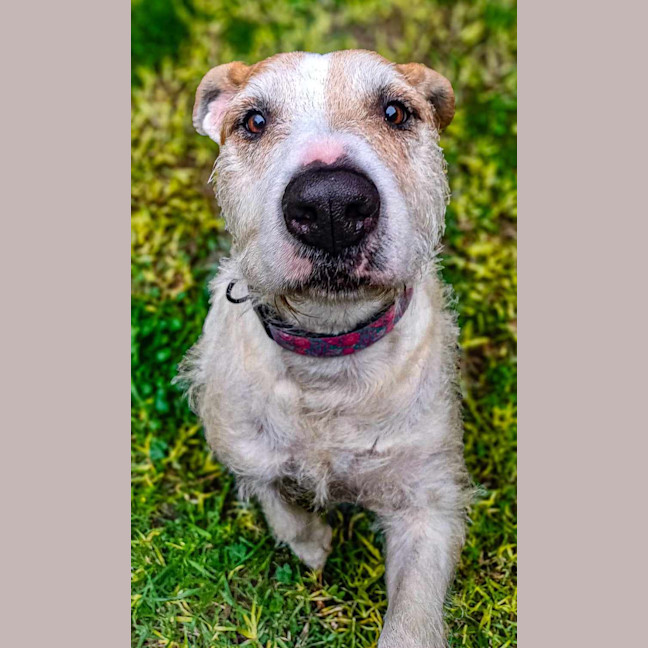 Photo of Bella
