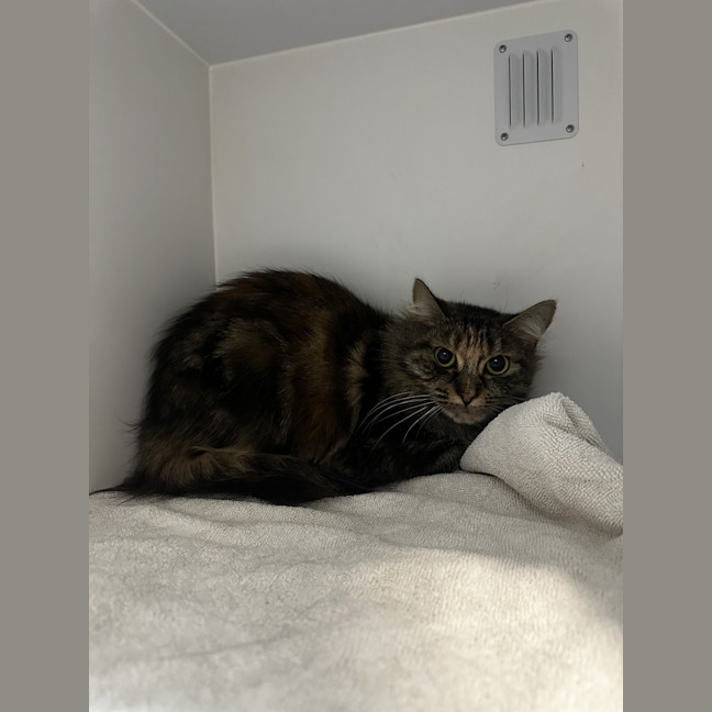 Photo of Mimi