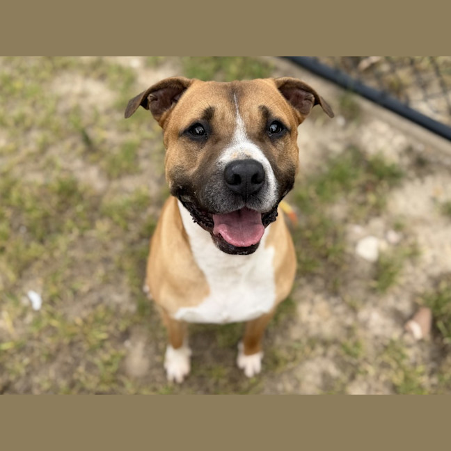 Photo of Riker Imp 2269