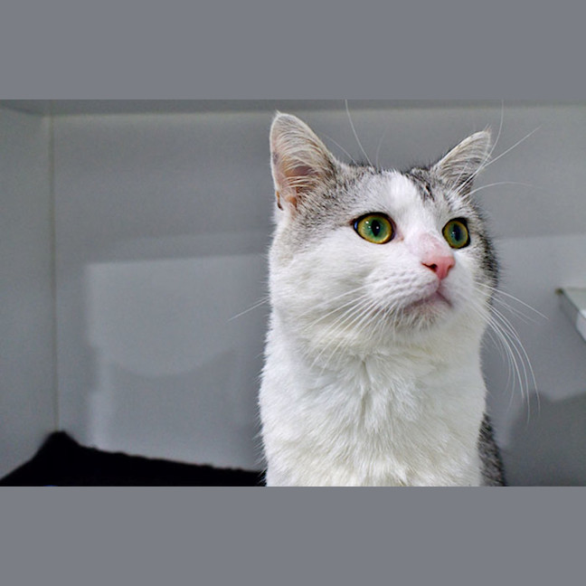 Photo of Jimmy Kibble