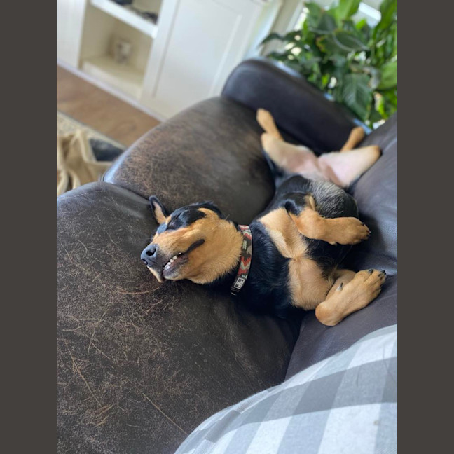 Photo of Narla