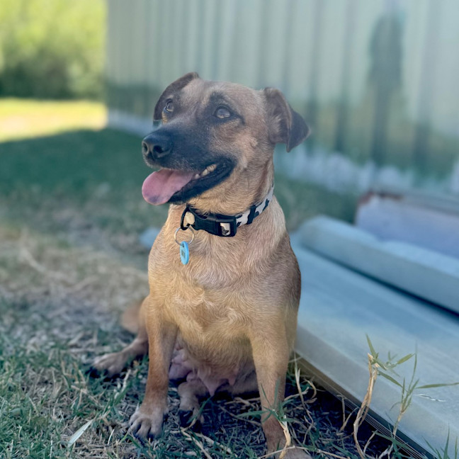 Photo of Maisey