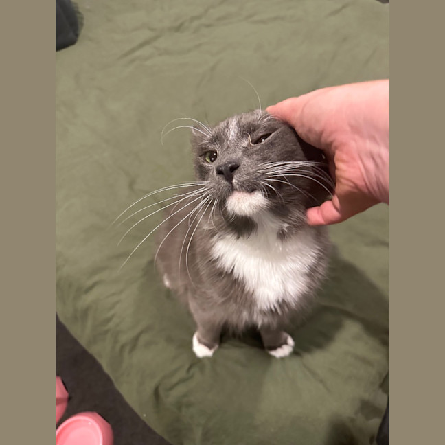 Photo of Professor Pringle