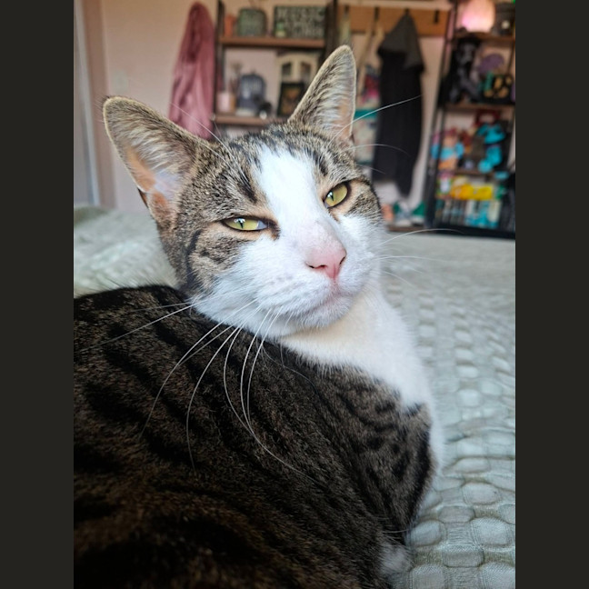 Photo of Tubby