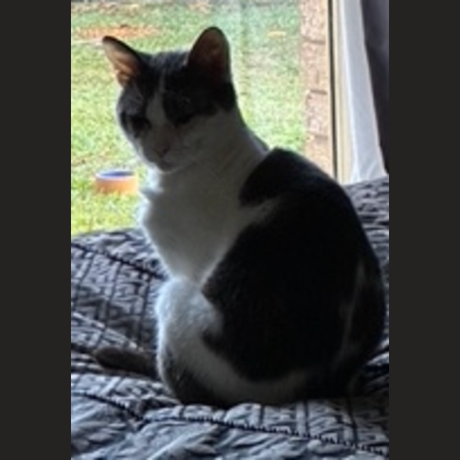 Photo of Fred
