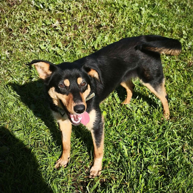 Photo of Lola