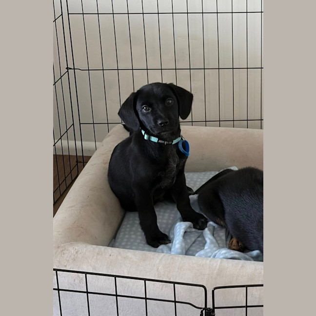 Photo of Tank