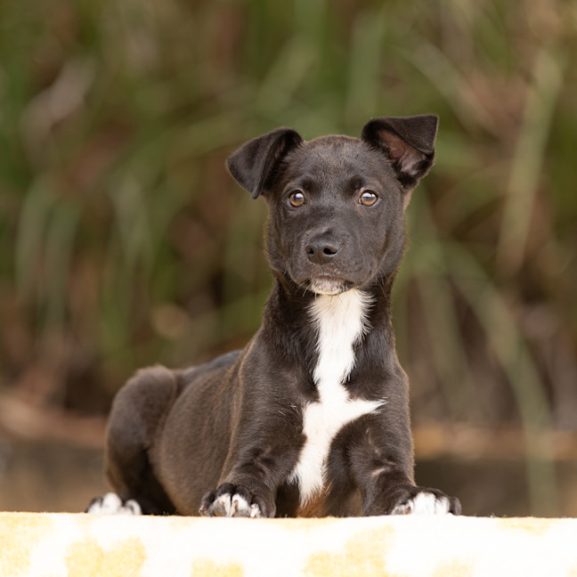 Photo of Morticia