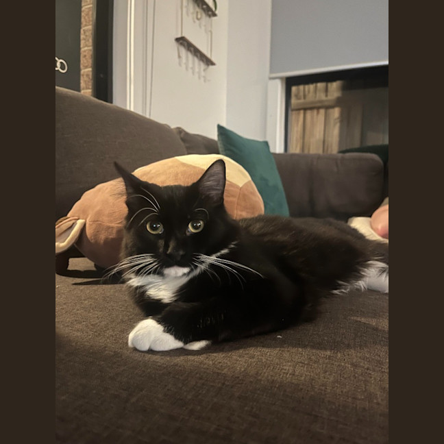 Photo of Albert