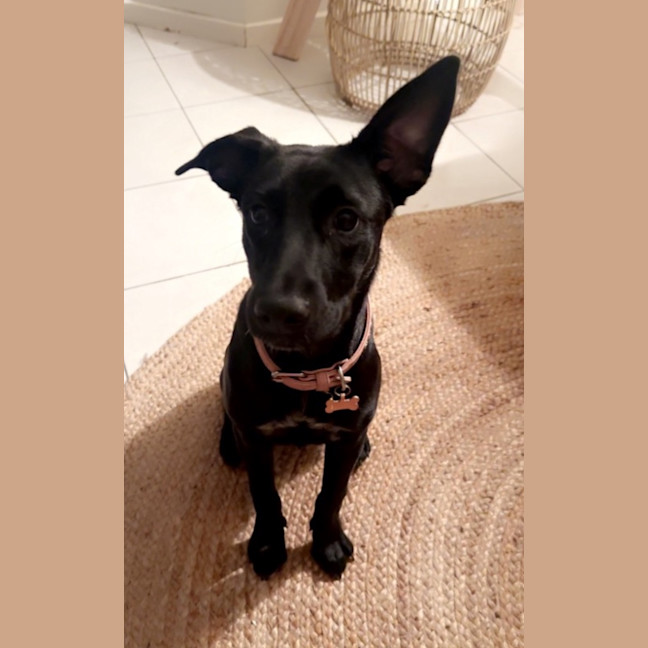 Photo of Skinny Marie (Evie)