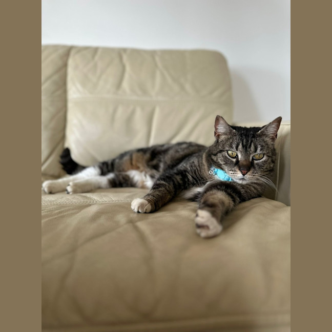 Photo of Boots