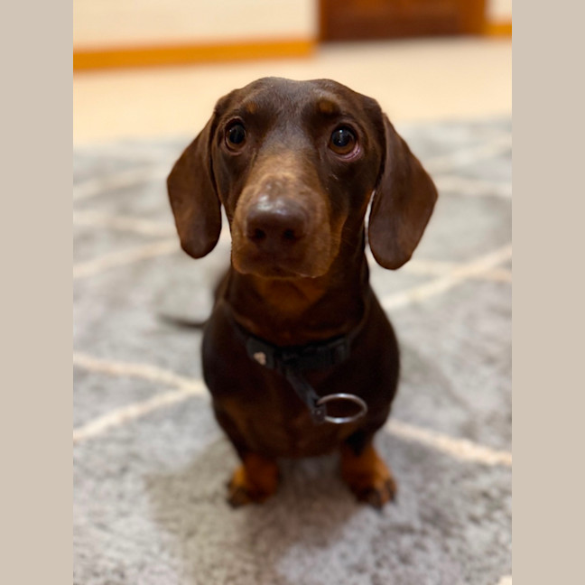 Photo of Frank