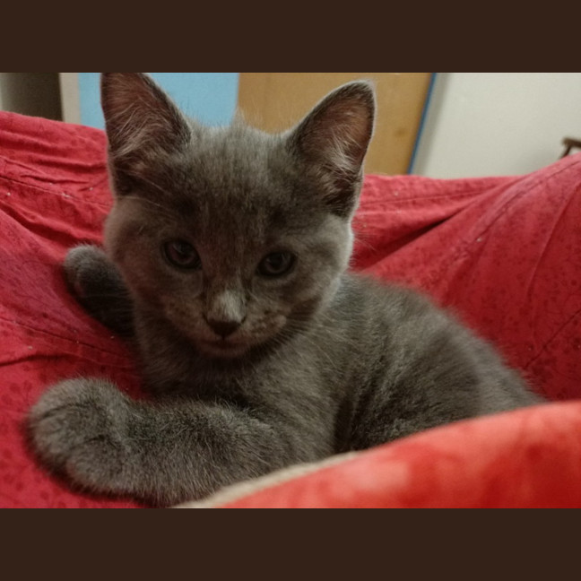 Photo of Woozi