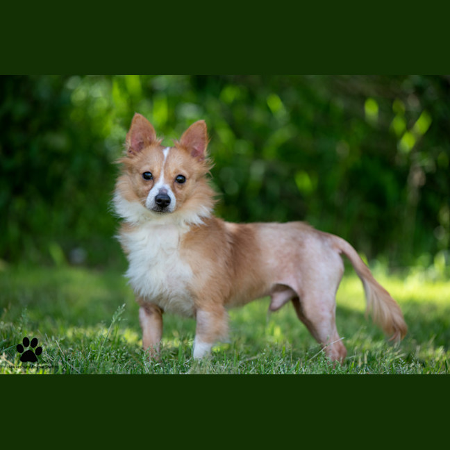 Photo of Leon