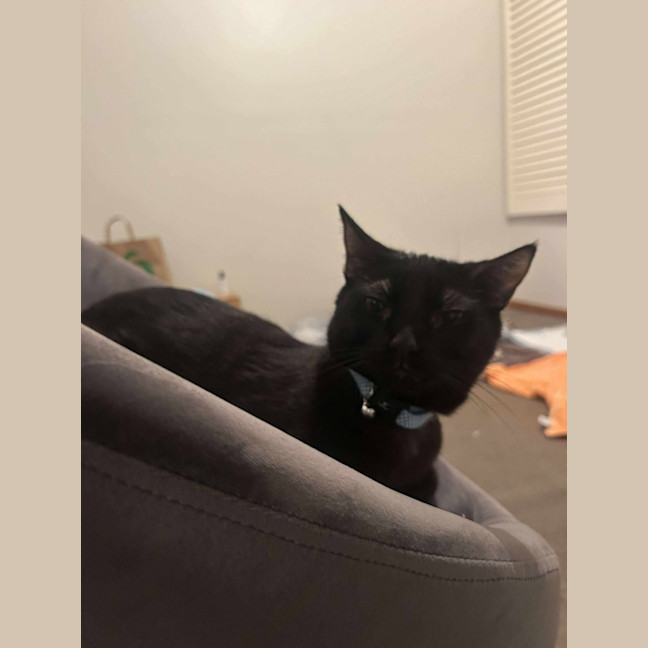 Photo of Violet And Prickle