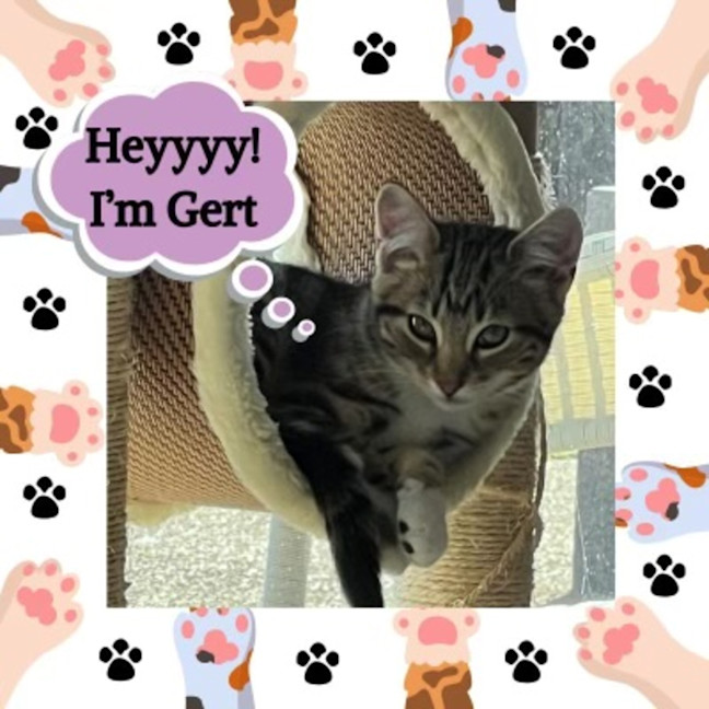 Photo of Gert