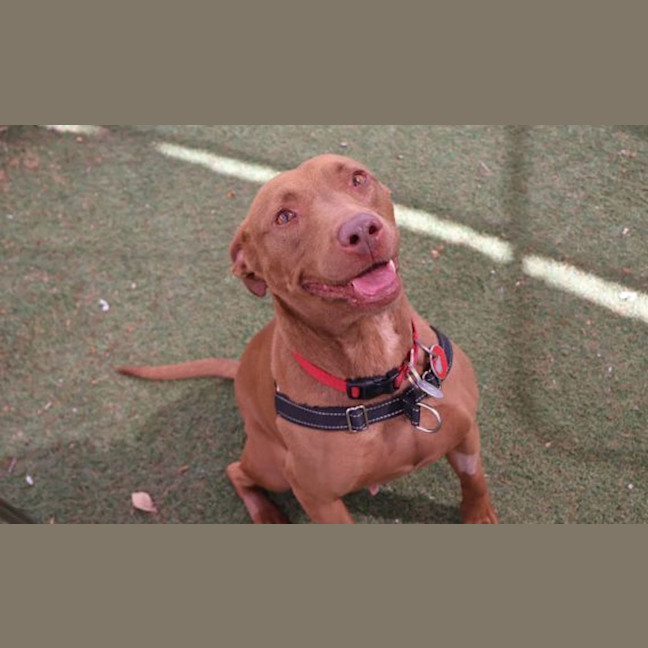 Photo of Oden