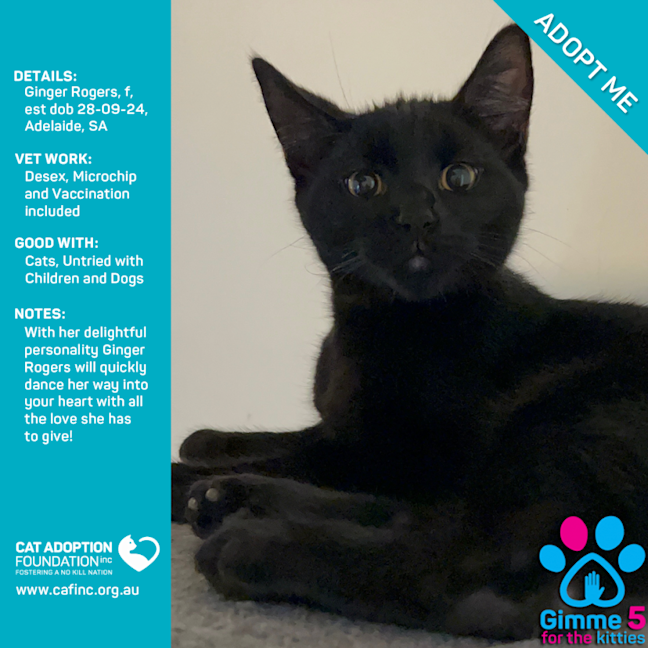 Photo of Ginger Rogers