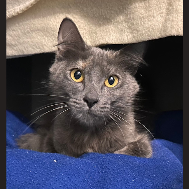 Photo of Squeaky