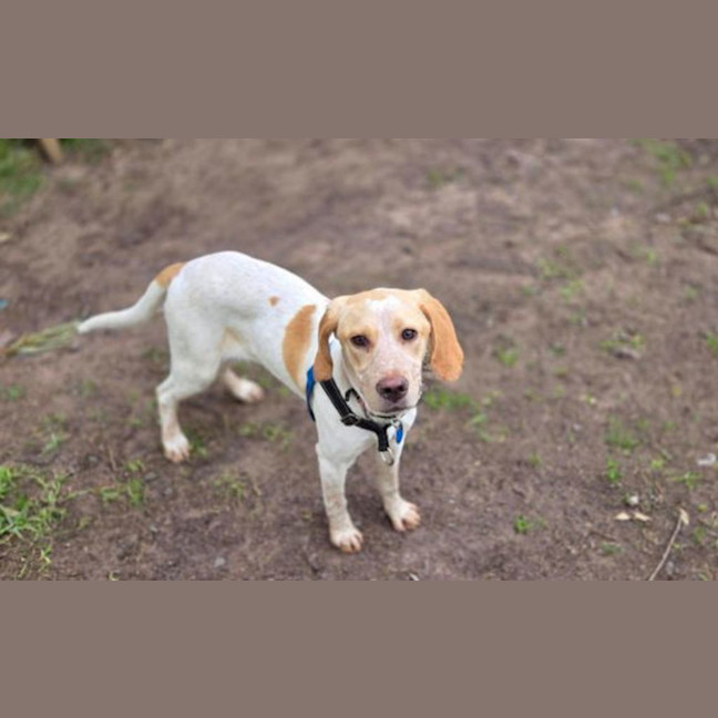 Photo of Mello