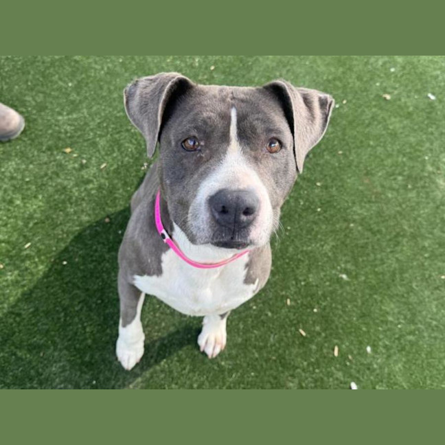 Photo of Xena Imp 2731