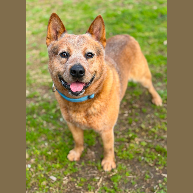 Photo of Buster