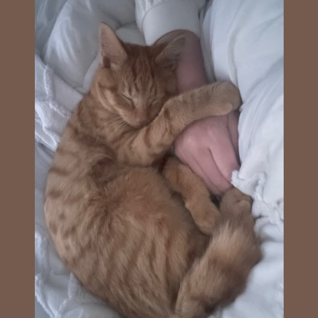 Photo of Dodge 