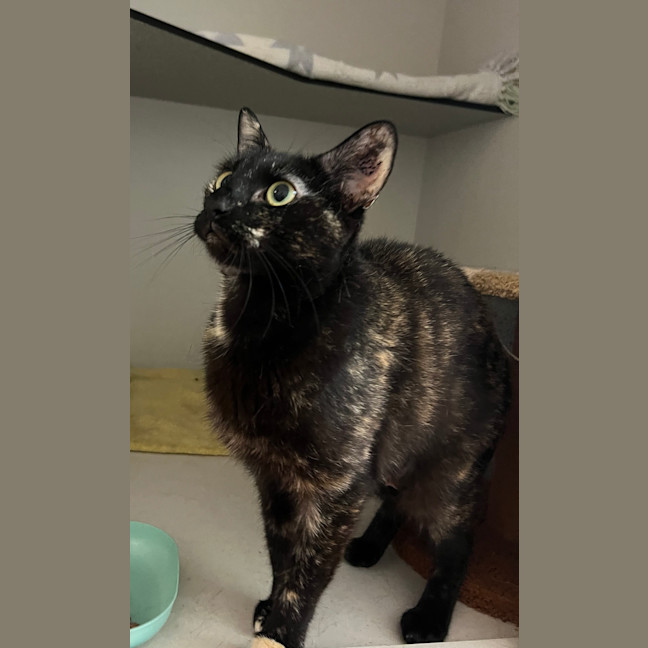 Photo of Dottie