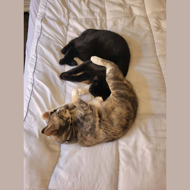 Photo of Giz & Lily