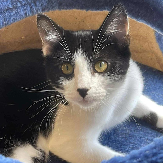 Photo of 12048   Hally